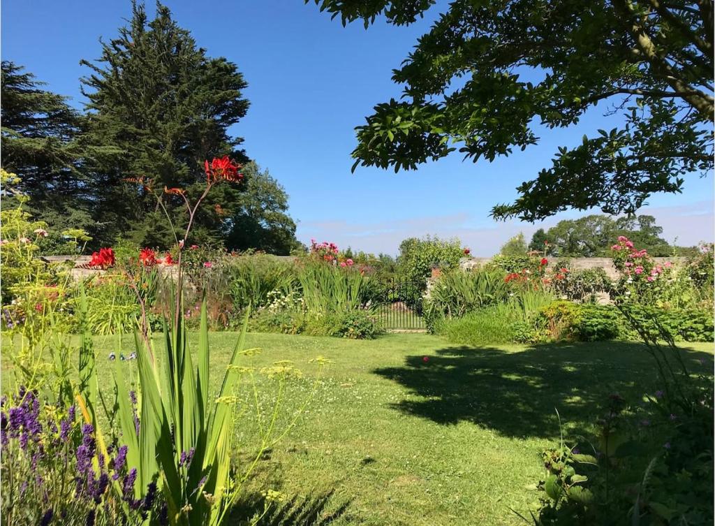 un jardín con flores y árboles en un día soleado en The Potting Shed, self contained, detached retreat in Shapwick village en Shapwick