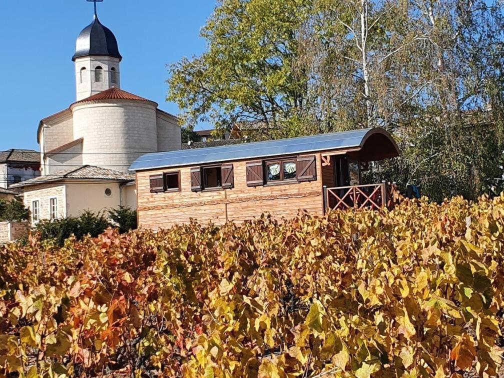 een huis met een klokkentoren achter een veld met bladeren bij La roulotte de Chiroubles in Chiroubles