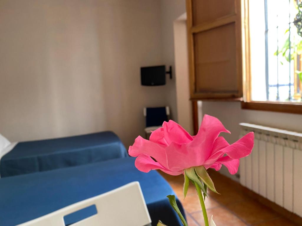 A television and/or entertainment centre at Hostal Moscatel