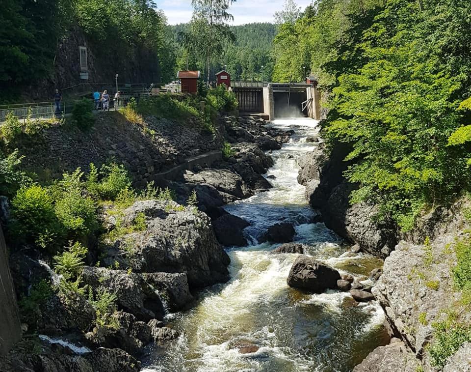 Příroda nedaleko apartmánu