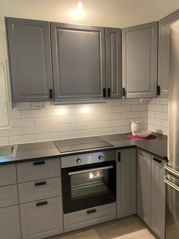 una cocina con electrodomésticos de acero inoxidable y armarios grises en Sjölanda, en Sjuntorp