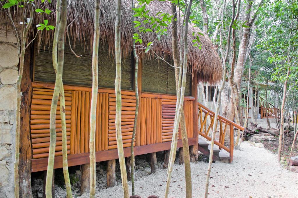 Fotografie z fotogalerie ubytování Aldea Maya-Ha Cabañas con cenotes v destinaci Puerto Morelos