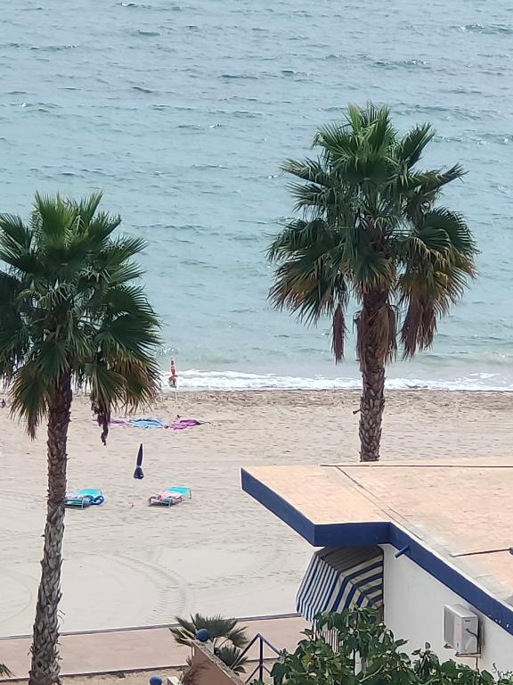 two palm trees on a beach near the ocean at Maya in Era de Soler