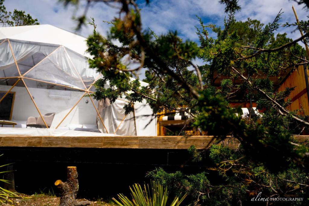 Zahrada ubytování COSMOS GLAMPING ARTEAGA