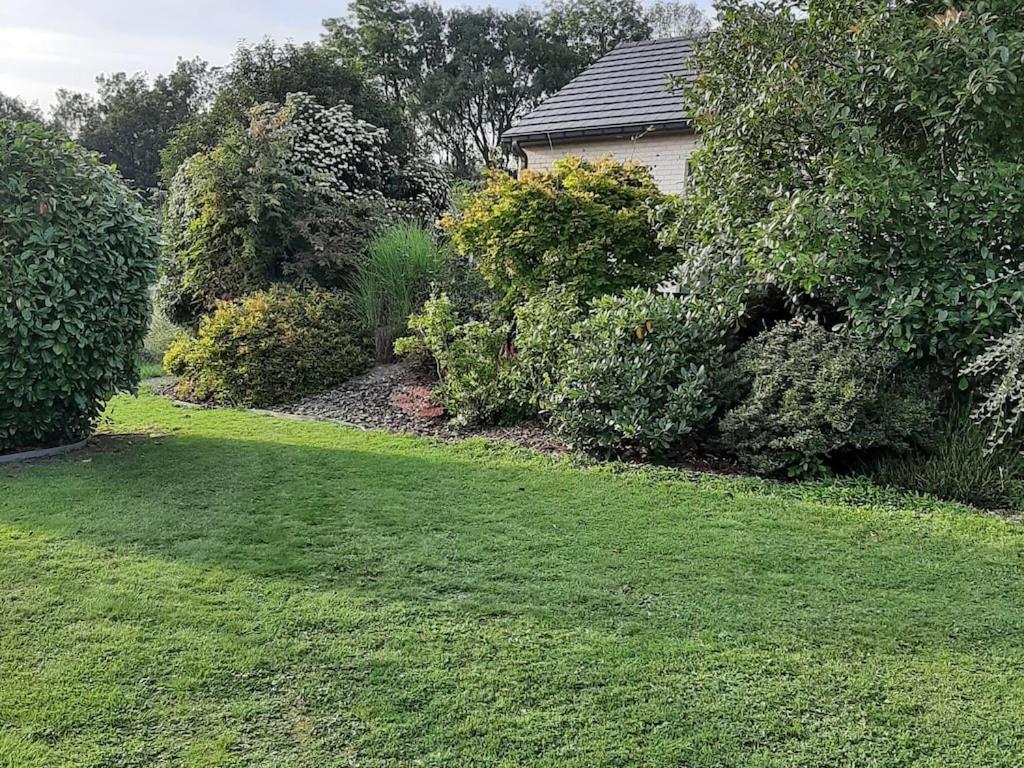 デュルビュイにあるInviting Cottage in Durbuy with Terrace Garden Barbecueの緑草や茂みのある庭と家