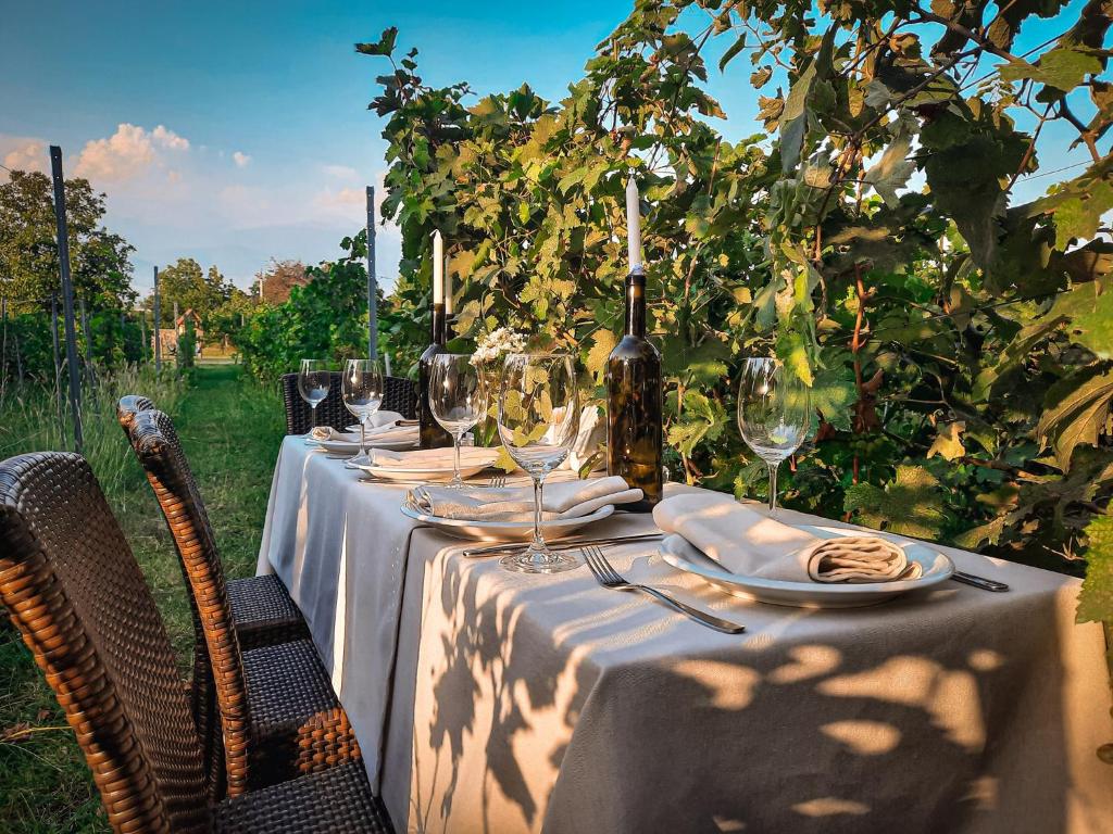 Zahrada ubytování Schuchmann Wines Château,Villas & SPA