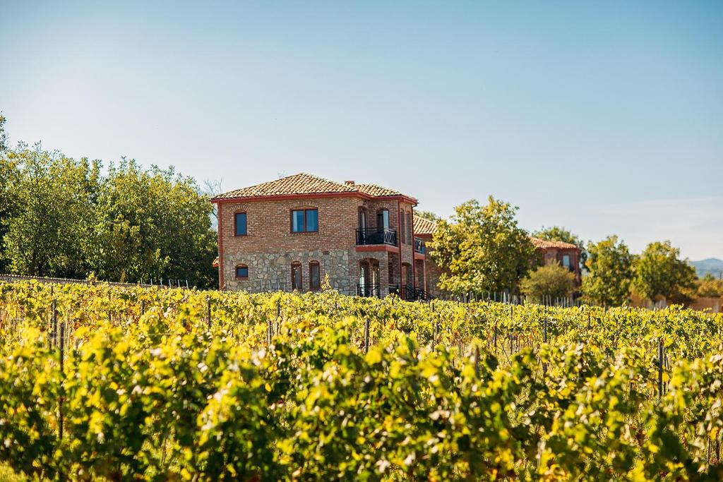 Zahrada ubytování Schuchmann Wines Château,Villas & SPA