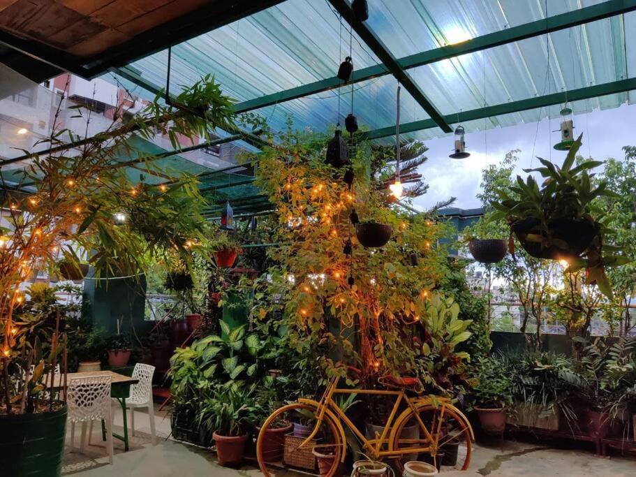 a greenhouse filled with lots of plants and a bike at THE NOOK Rooftop Condo and Garden in Guwahati