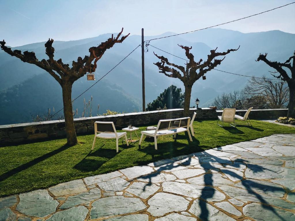 Príroda v okolí of the country house