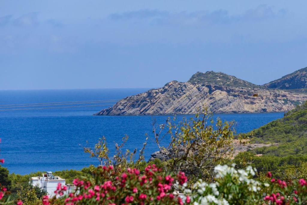 Miquela, Es Cana – Updated 2023 Prices