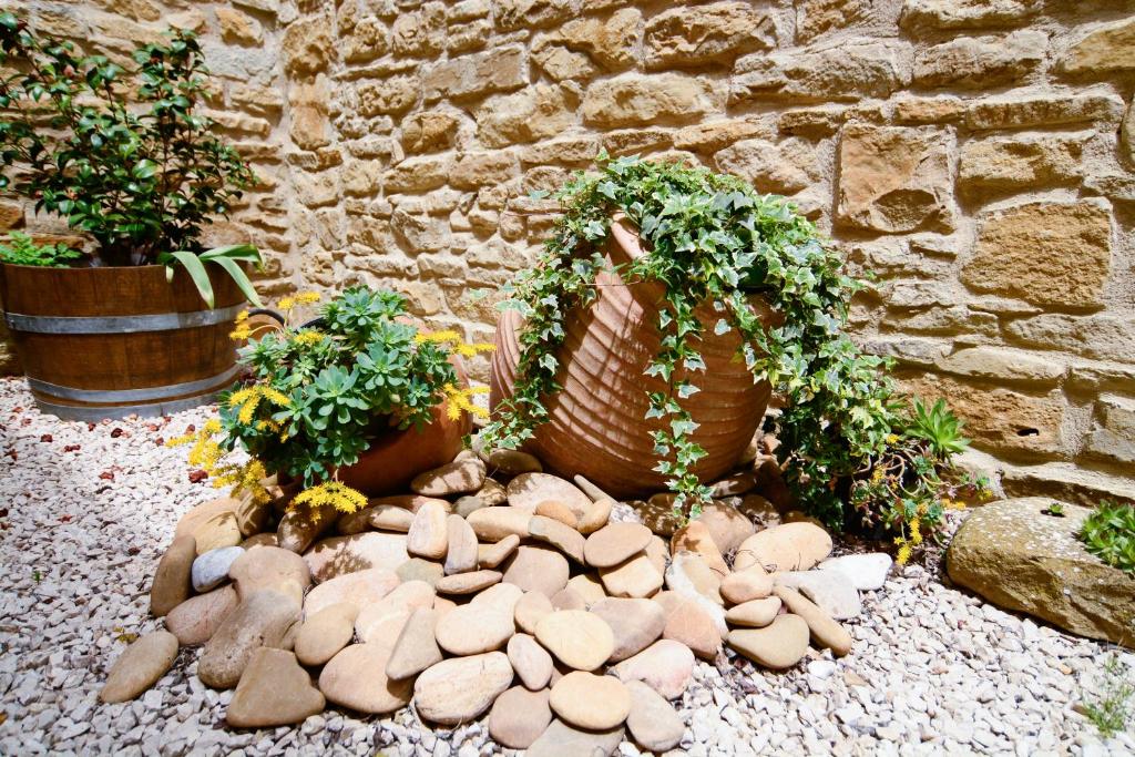 Zahrada ubytování Casa Rural Harri Etxea