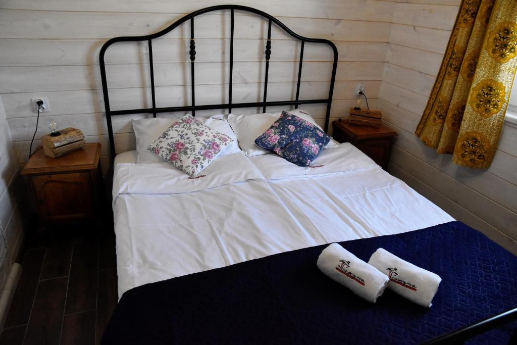 Dom na Starym Gościńcu Tiszyna - Chalet