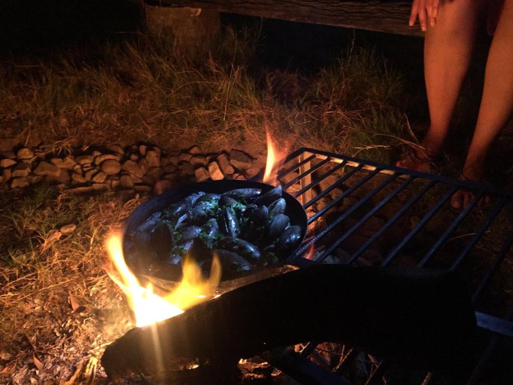 Malva Rosa Relax La Juanita