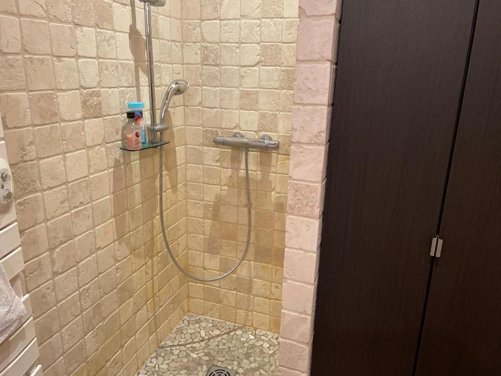 Koupelna v ubytování Studio 1 pièce situé dans un chalet