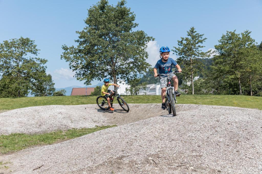 Hosté ubytování Chalets am Badesee Lassing