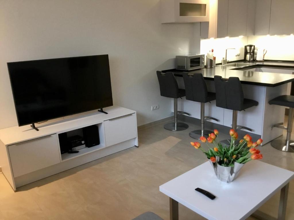 TV a/nebo společenská místnost v ubytování Haus Meeresbrise 2