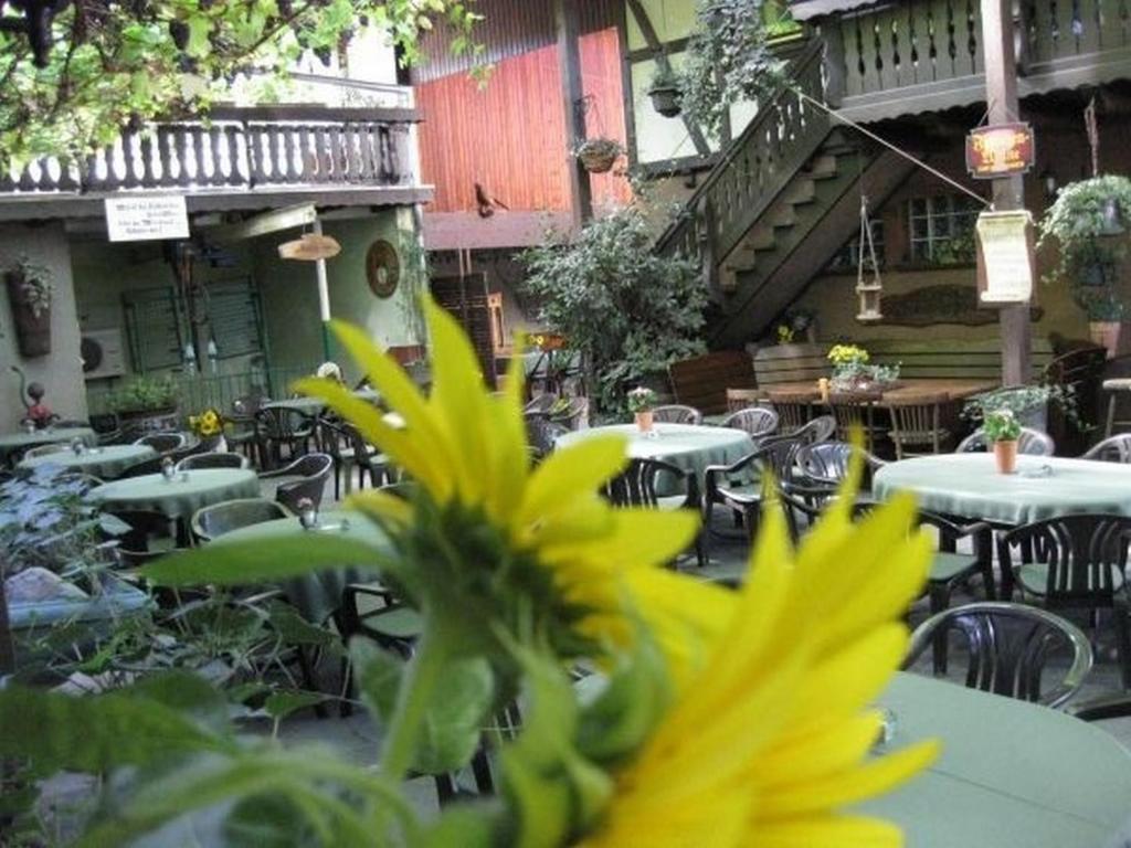 Restaurace v ubytování Weingut Franz Schäfer