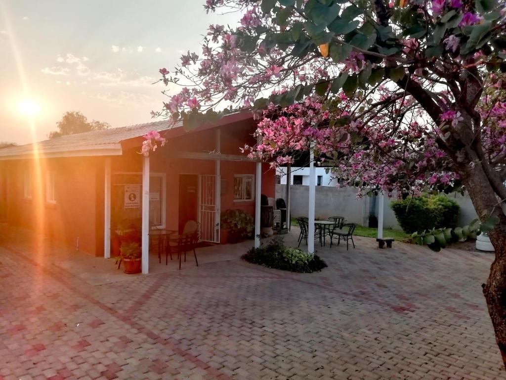 a house with a tree with pink flowers on it at Mashusha Bed & Breakfast in Gaborone