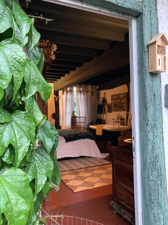 ein Schlafzimmer mit einem Bett und einer großen grünen Pflanze in der Unterkunft La Ferme du Val de Lys in Nolléval