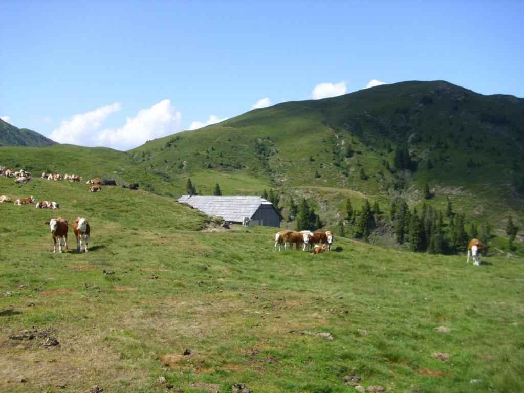 Táj a vendégház közelében