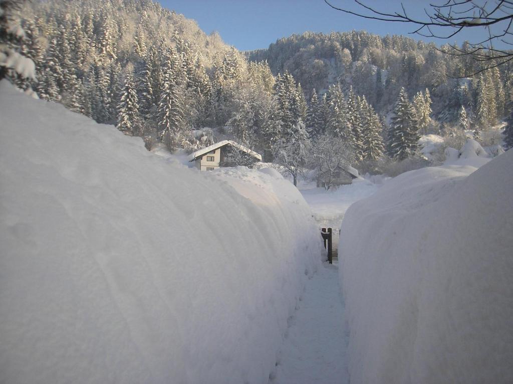 Appartements Fritz Sagmeister during the winter