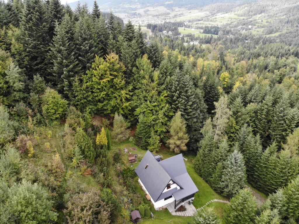 an aerial view of a house in the middle of a forest at Mountain Cottage Lubomierz in Lubomierz