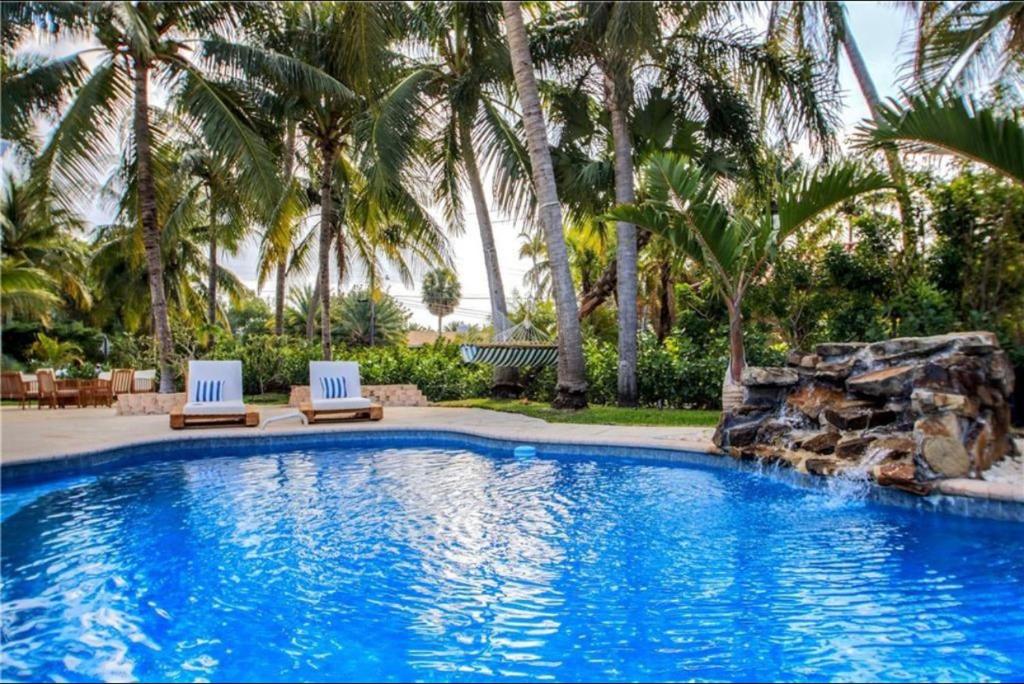 a swimming pool with two chairs and palm trees at SWAYING PALM BEACH HOUSE in Fort Lauderdale