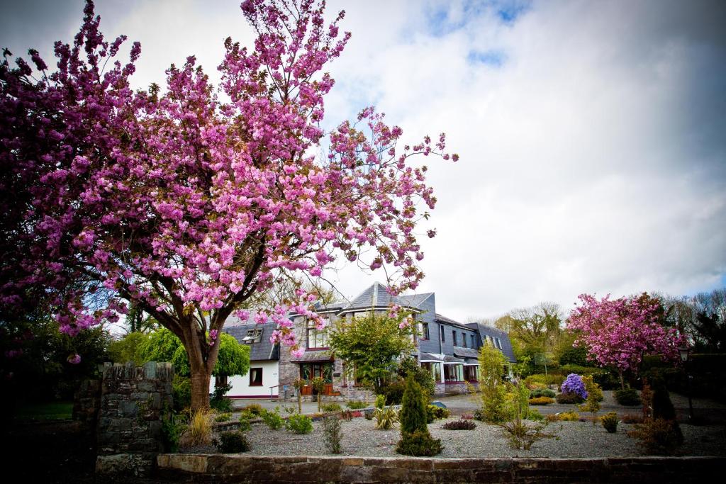 un árbol con flores rosas delante de una casa en Kathleens Country House en Killarney