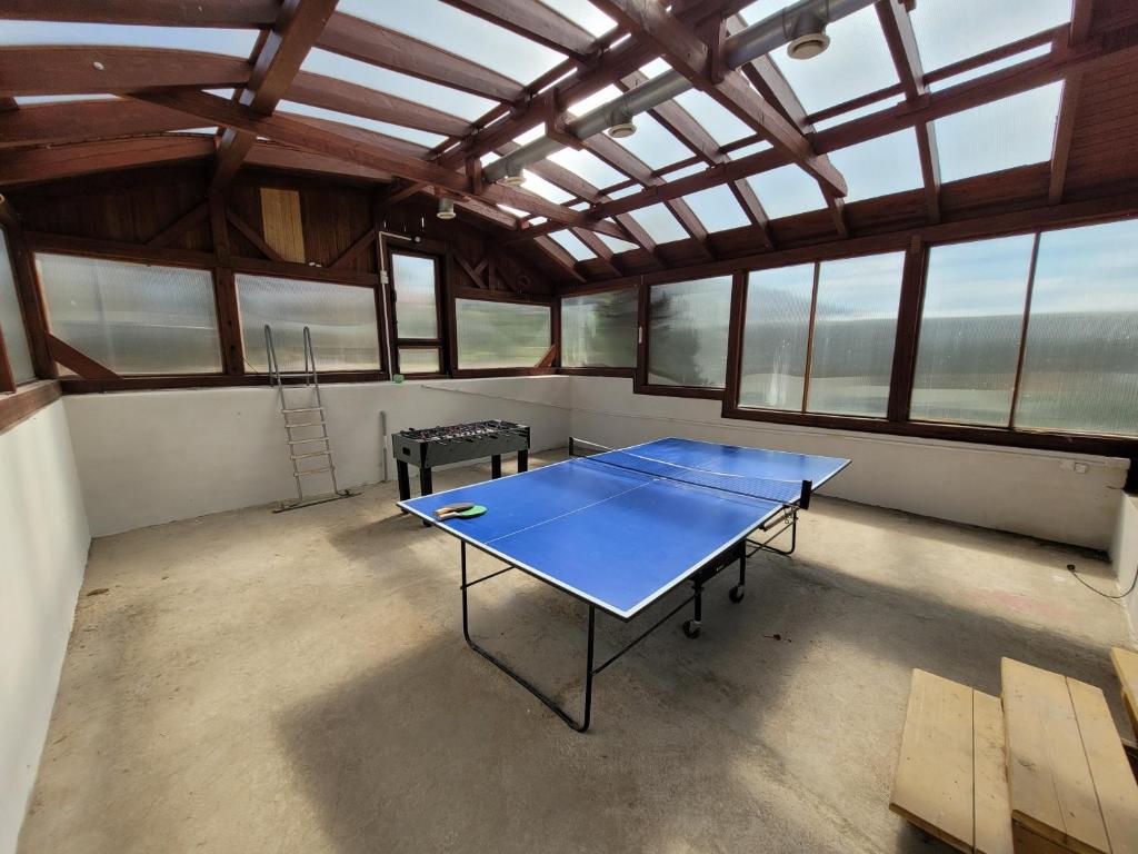 Stolní tenis v ubytování Apartmány Velké Dářko nebo okolí