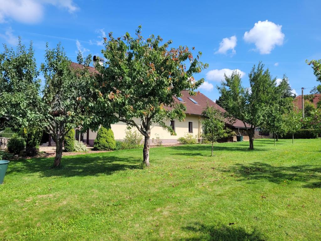 Zahrada ubytování Apartmány Velké Dářko