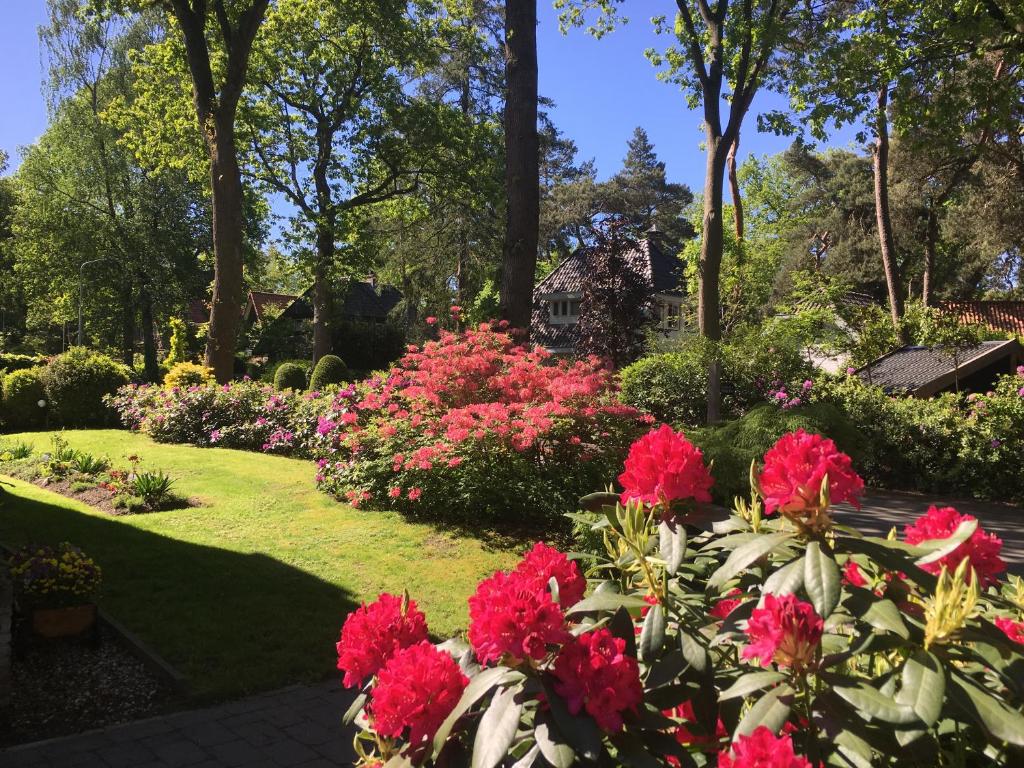 einen Garten mit rosa Blumen im Hof in der Unterkunft B&B Porcini in Ermelo