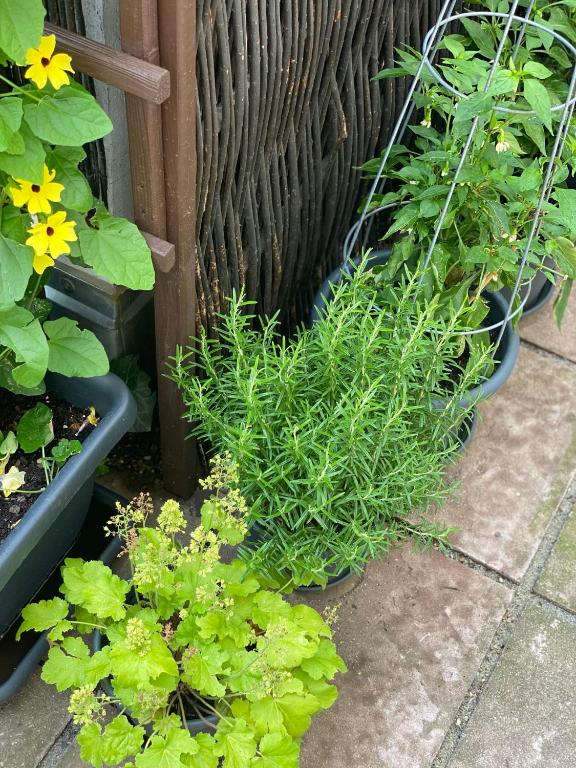 Burghotel Nürnberg - Resim 45