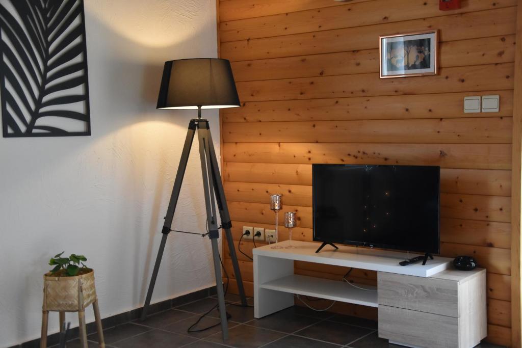 TV a/nebo společenská místnost v ubytování Gîte du cheval blanc d'Houmont