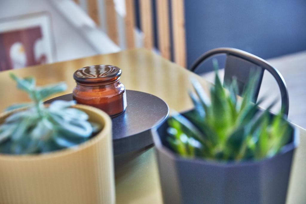 a table with two potted plants and a jar on it at Demeure de Manneville - SPA - 1Km des plages de Cabourg in Dives-sur-Mer