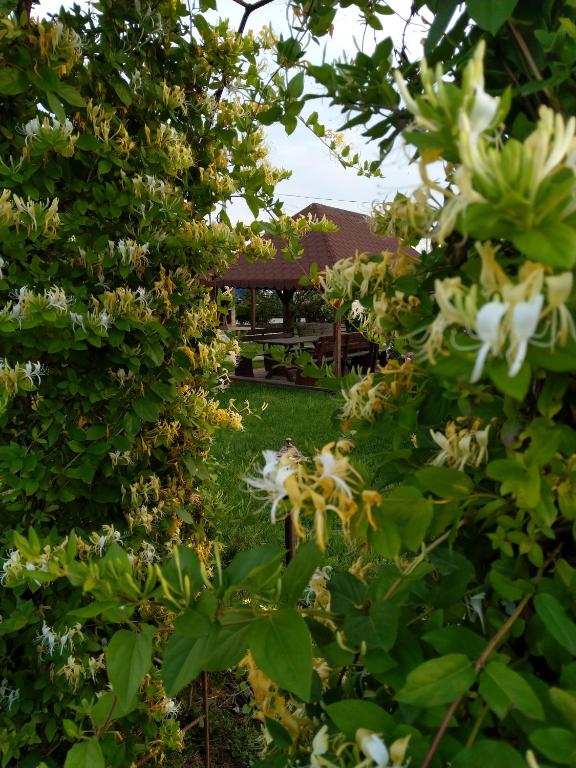 Hotel Coral - Resim 21