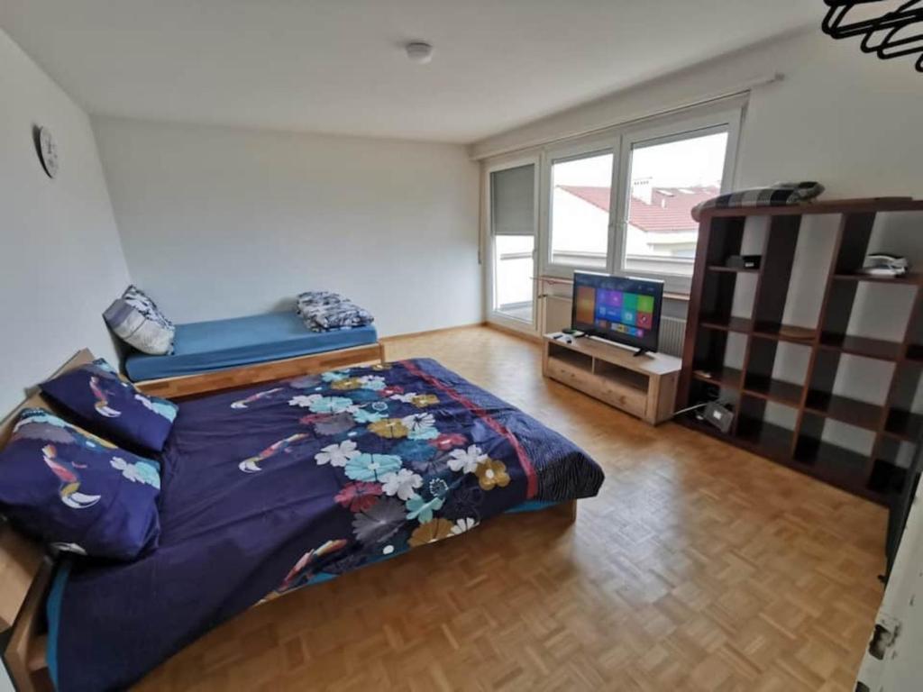All the apartment in Basel up to 7 people