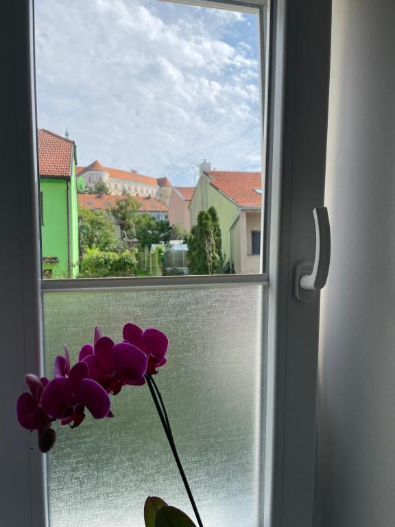 Výhled na řeku, která protéká v blízkosti apartmánu
