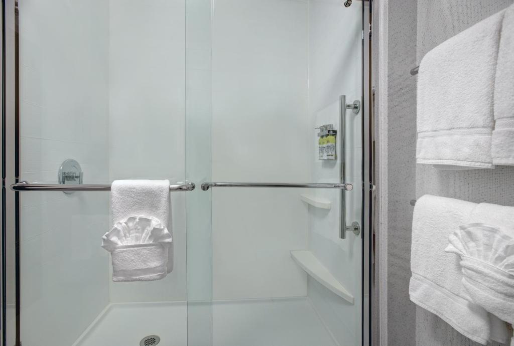 Holiday Inn Express & Suites - Milwaukee - Brookfield by IHG - Suite King