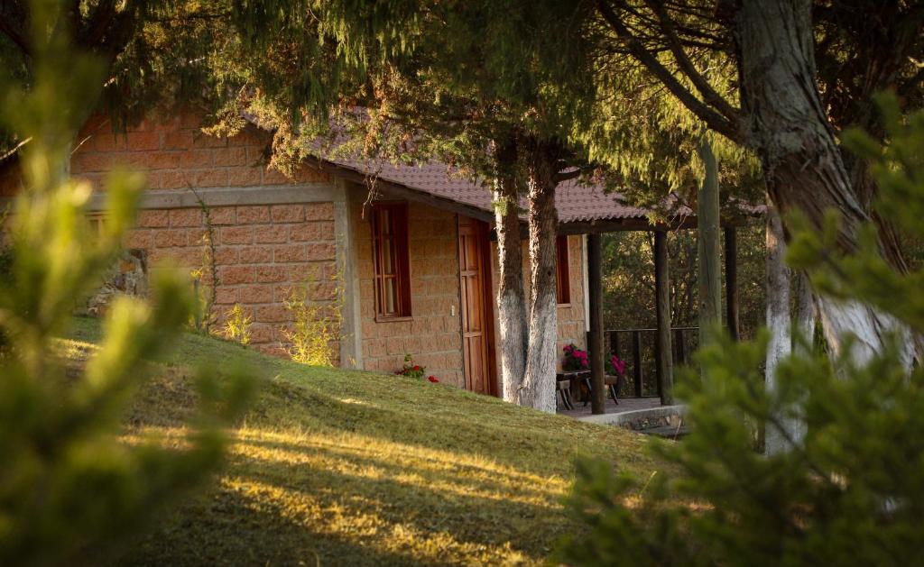 una pequeña casa de ladrillo con un árbol delante de ella en Casa Rural Santa Maria Regla, en Huasca de Ocampo