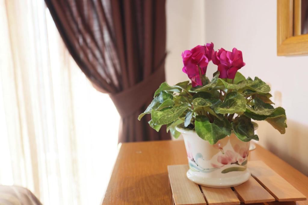 Aegeon Hotel - Resim 31