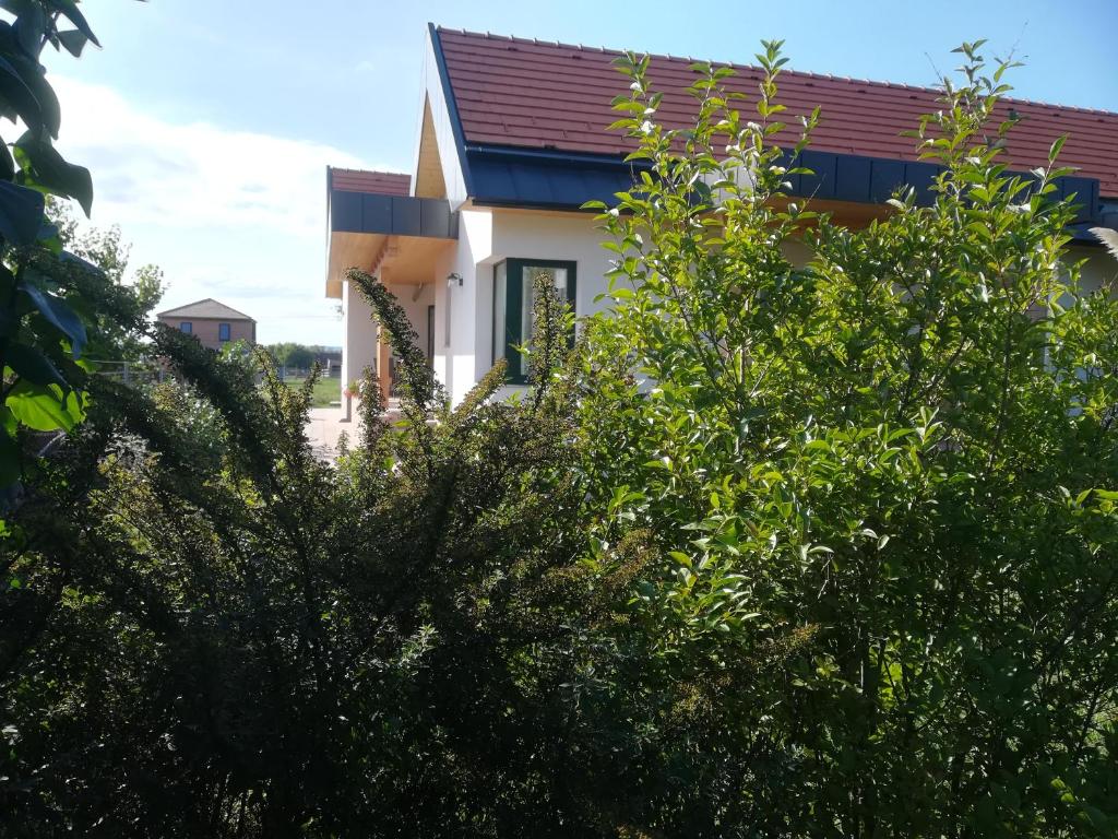 Ogród w obiekcie Edina Vendégház-Gyenesdiás