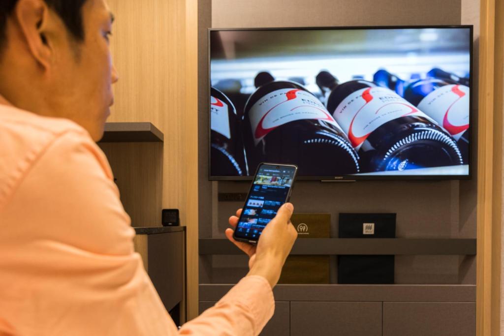 TV a/nebo společenská místnost v ubytování Hotel Metropolitan Edmont Tokyo