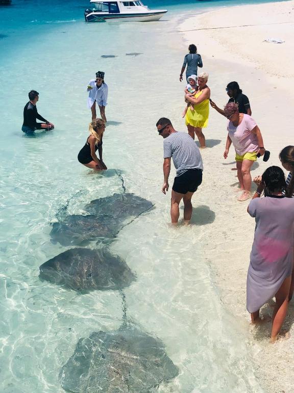Hosté ubytování Fulidhoo Ihaa Lodge