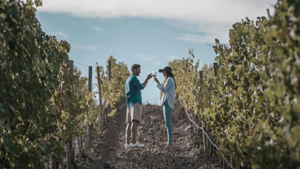 a man and woman standing in a vineyard holding hands at Marina di Scarlino Resort in Puntone di Scarlino