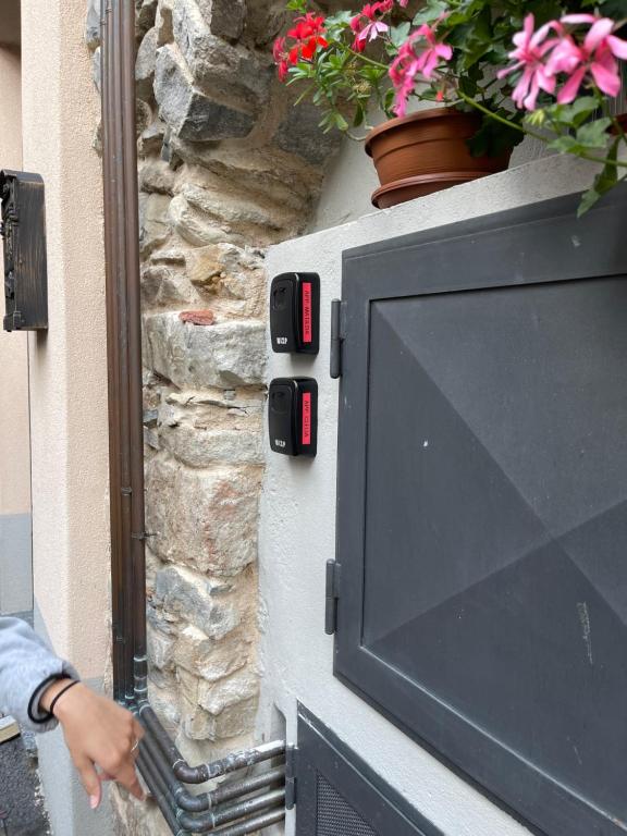 Telewizor na kamiennej ścianie z rośliną w obiekcie LA CASA DI PUCCI nel borgo affrescato di PARLASCO w mieście Cortenova