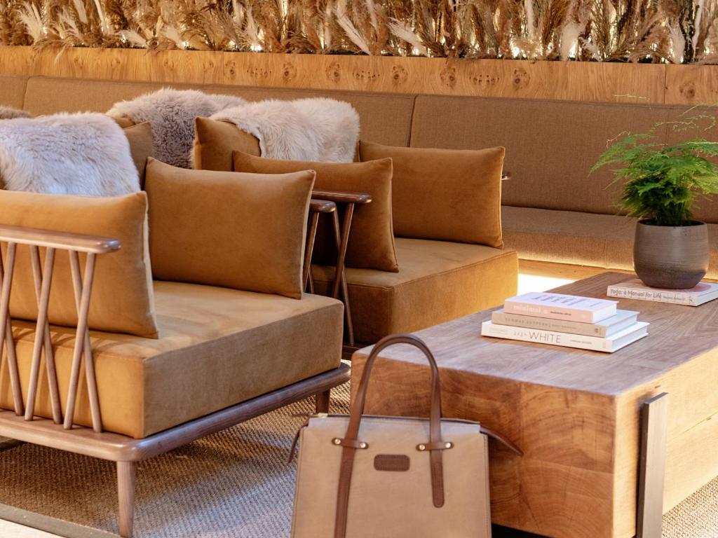 Wren Urban Nest - Resim 19