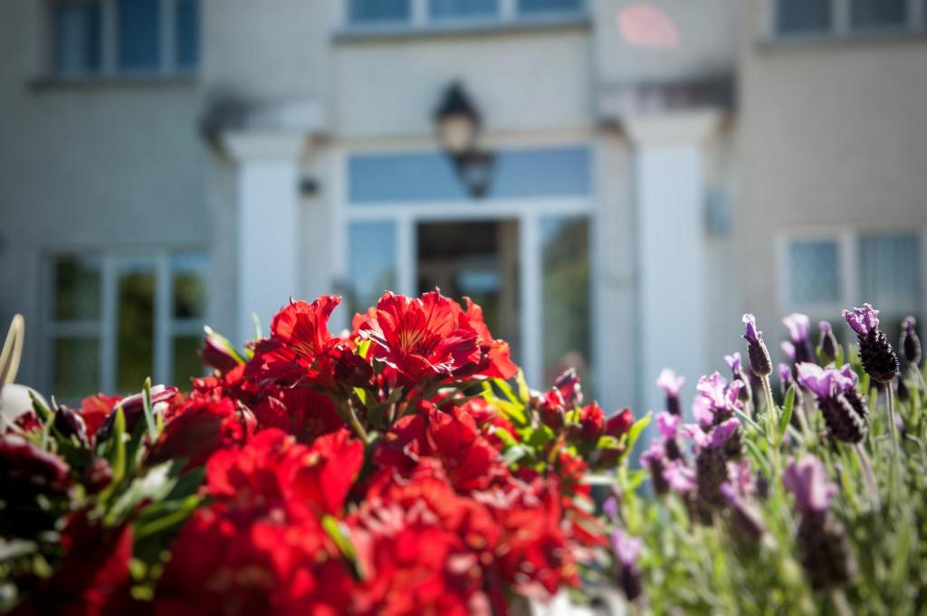 Zahrada ubytování Grove House Bed & Breakfast