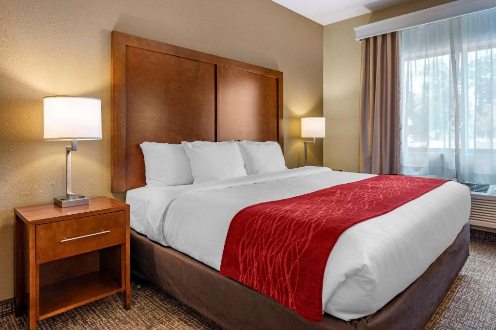 um quarto de hotel com uma cama grande e uma janela em Comfort Inn La Porte em LaPorte