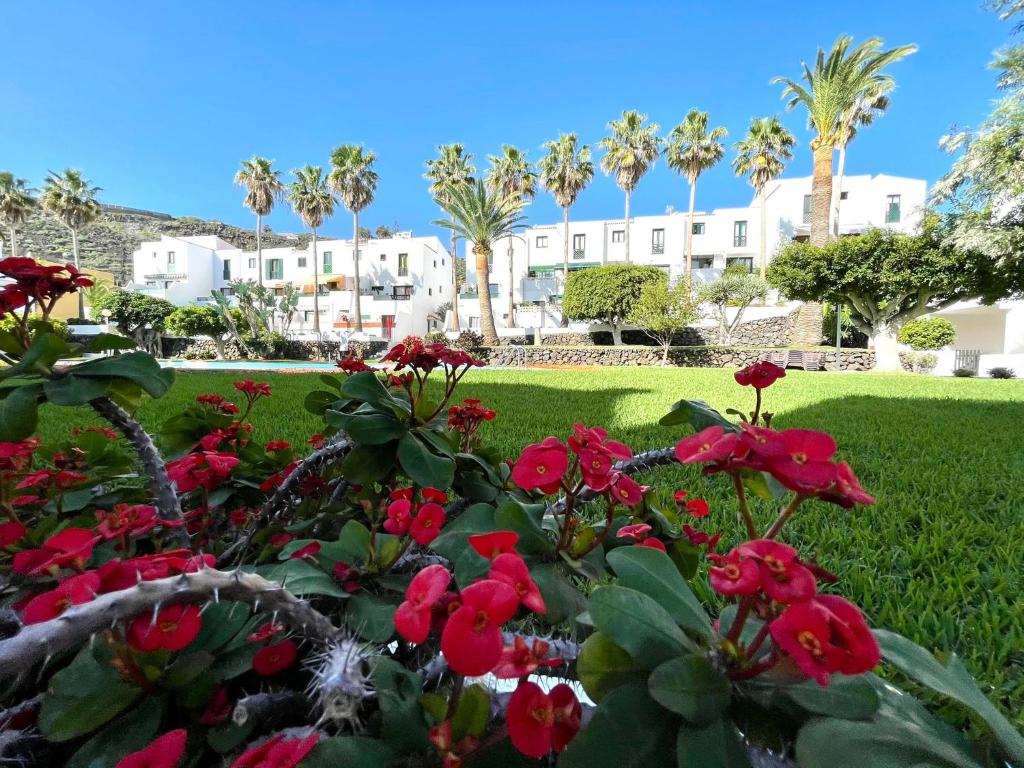 Bonito apartamento con vistas a la piscina, Wifi, cerca playa ...