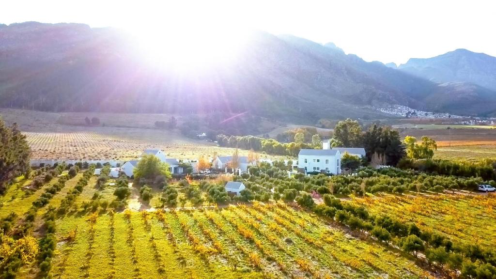 una vista aérea de un viñedo con el sol en el fondo en Droom Guesthouse, en Franschhoek